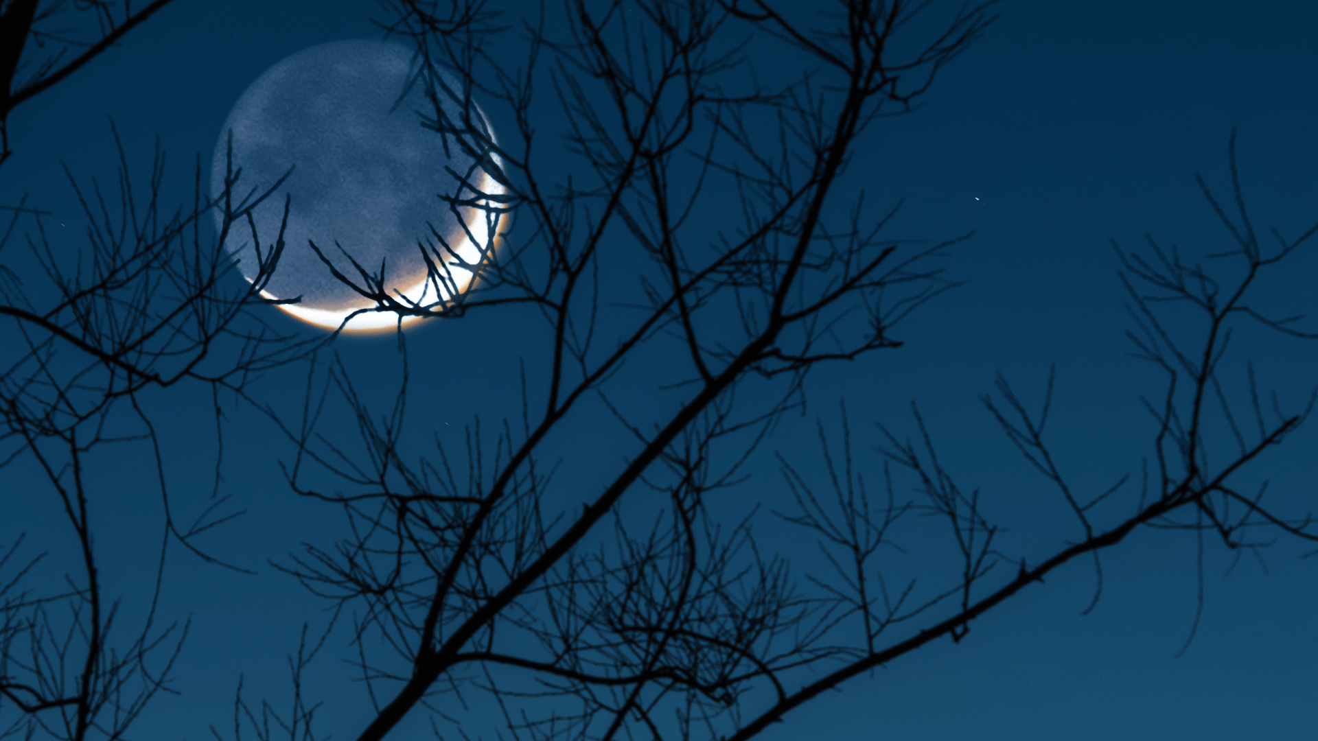 TUTTI I BENEFICI DELLA LUNA NUOVA DI GIOVEDÌ 28 LUGLIO