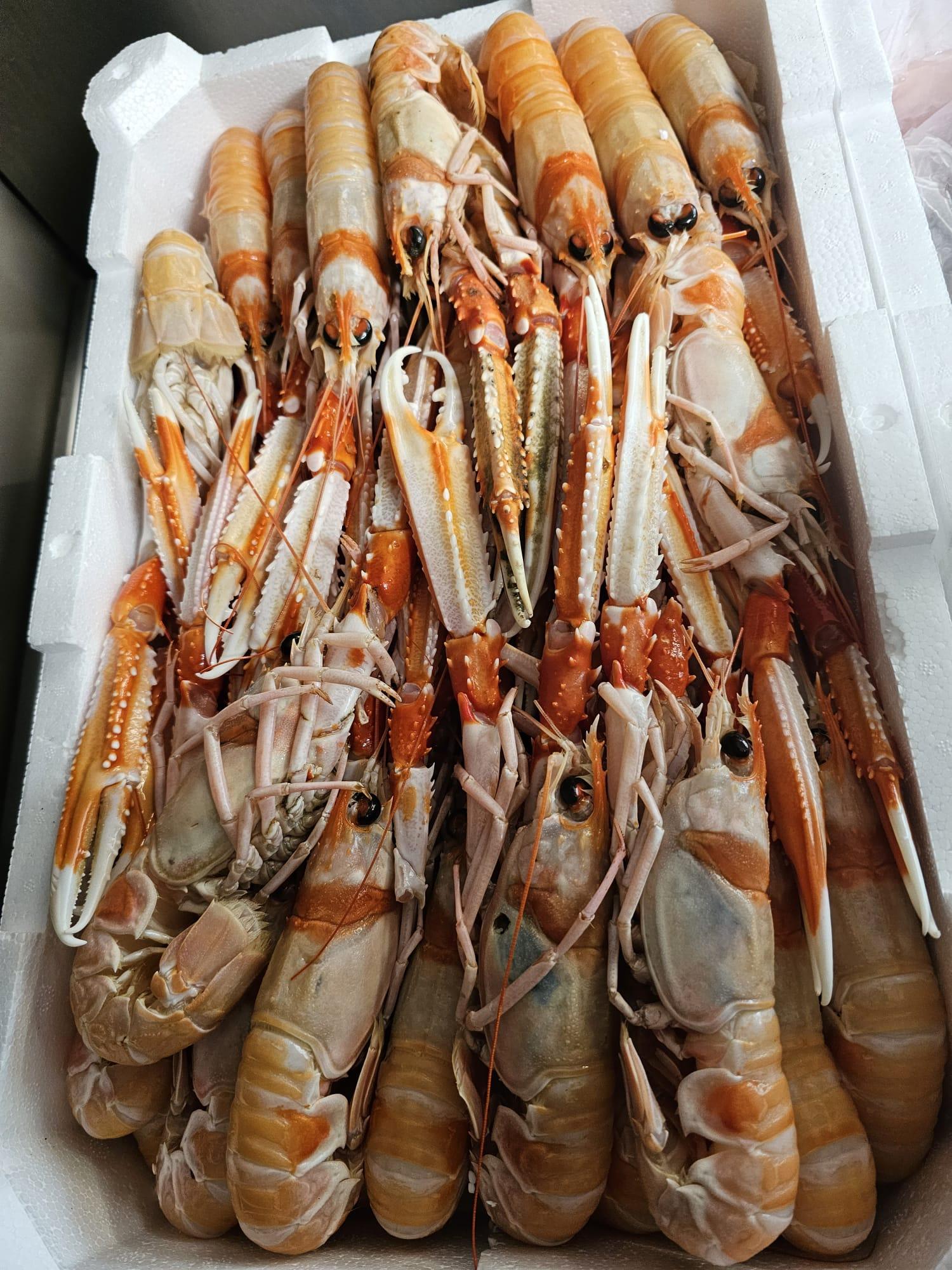 Scampi di prima qualità