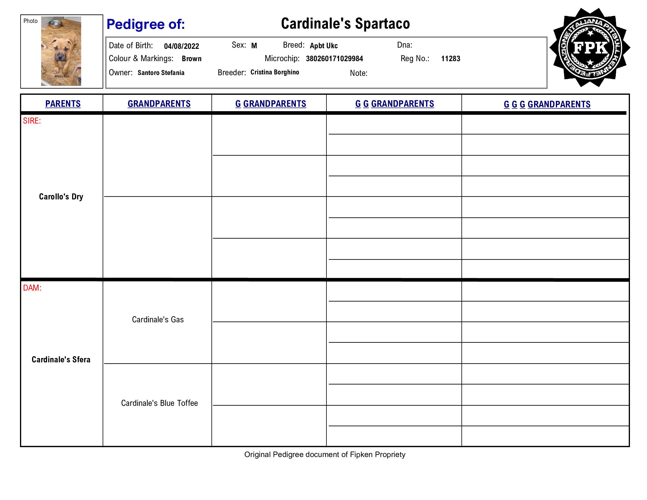 Cardinale's Spartaco