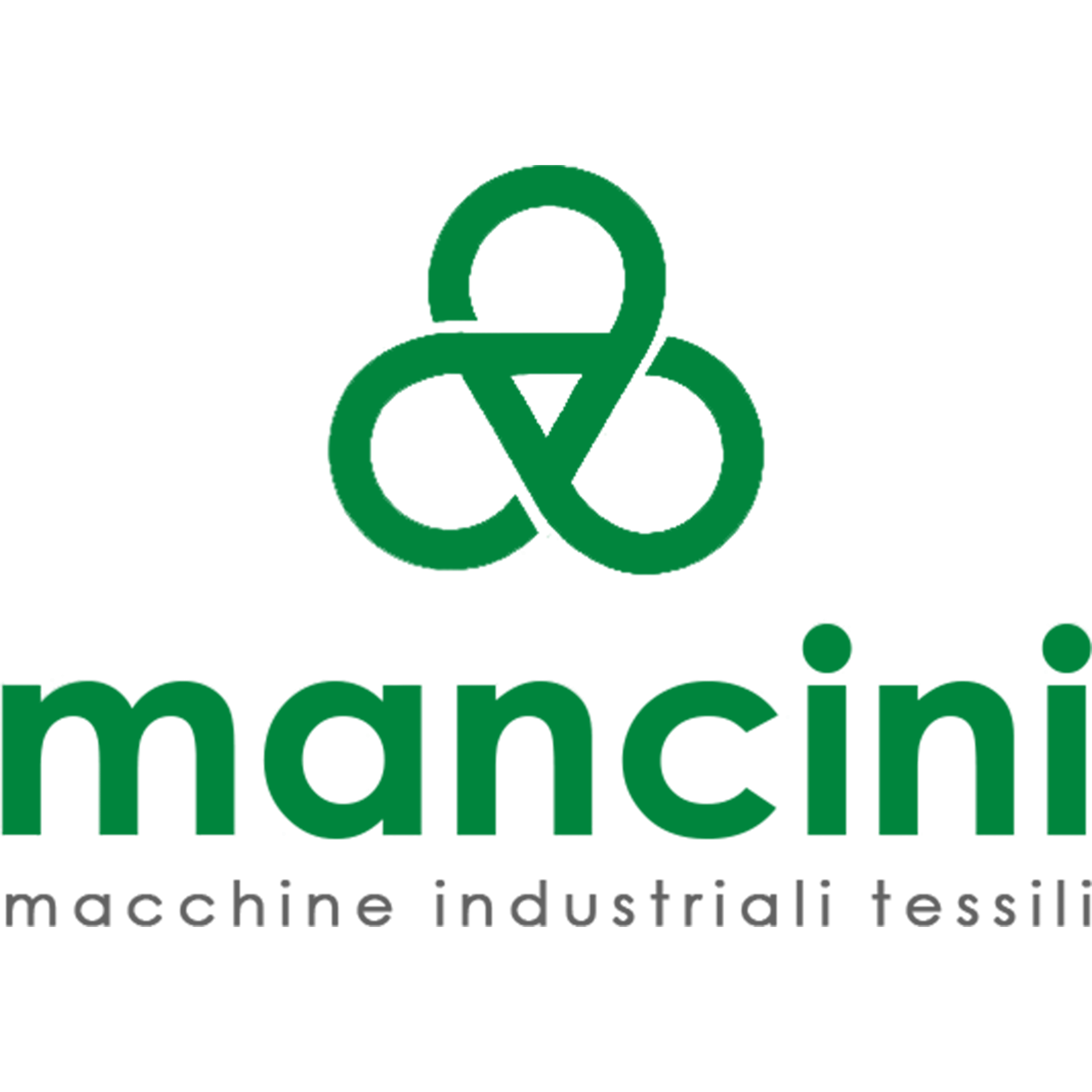 Logo Mancini Srl