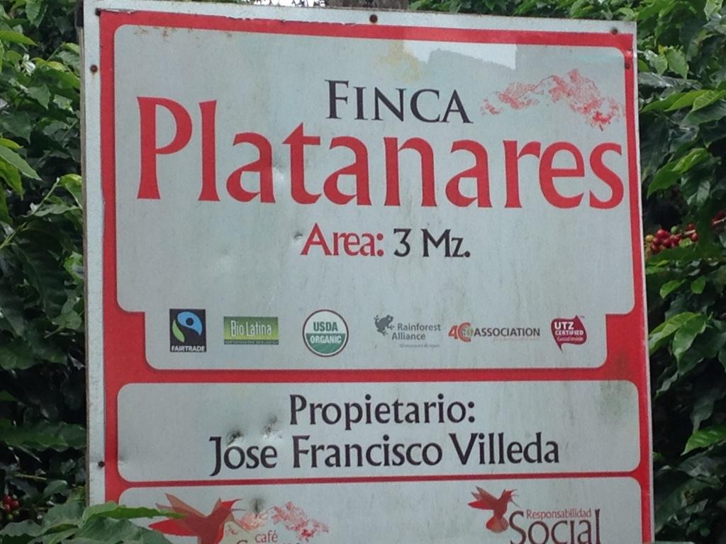 Honduras Finca Platanares microlot