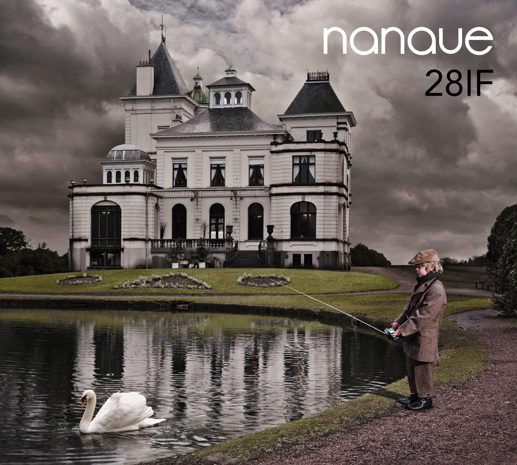 Nanaue 28IF cover by Gert de Taeye