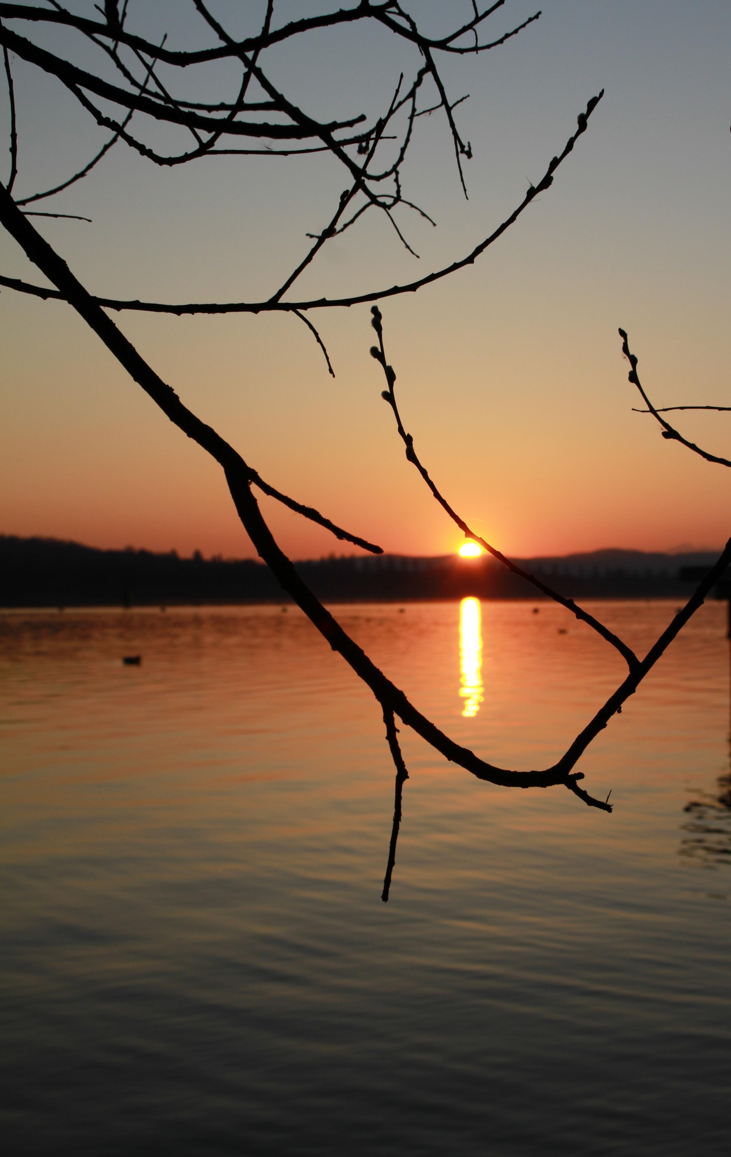 Un tramonto sul lago con la natura che ti esprime chi hai nel cuore