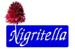www.coro-nigritella.org
