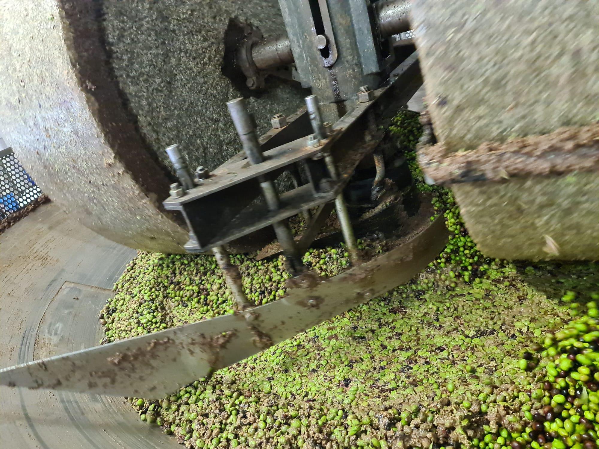 Antiche macine del frantoio per la molitura delle olive colte