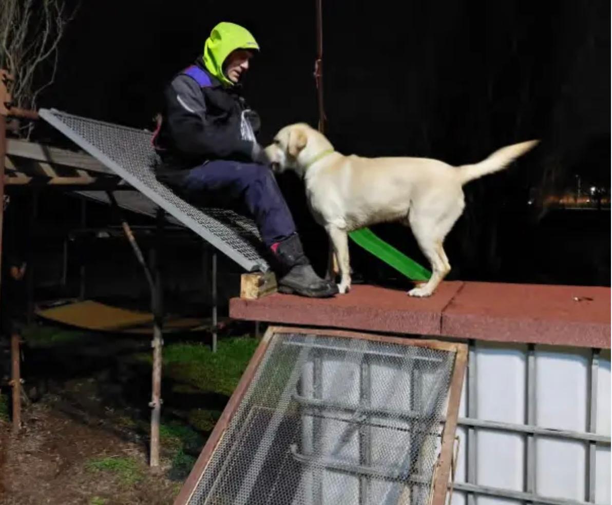 Sar Team Faenza cani da soccorso