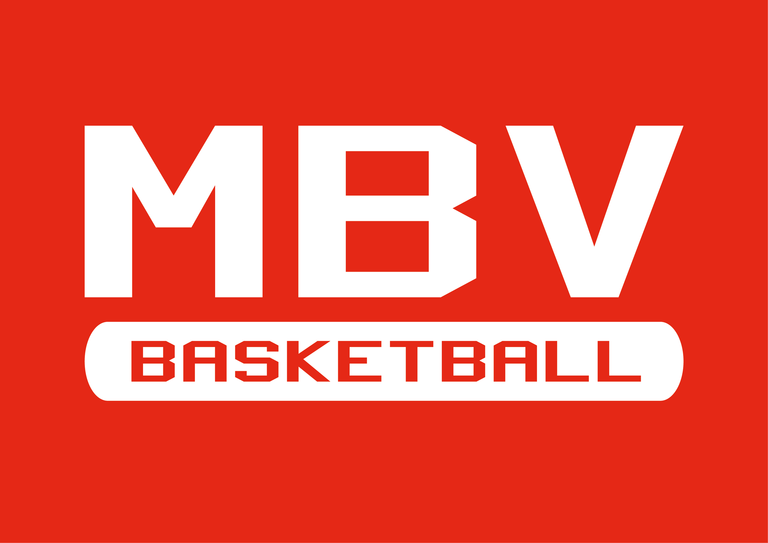 MINIBASKET VICENZA