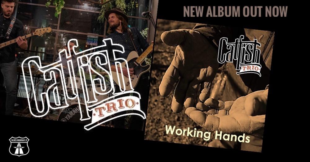 CATFISH TRIO - NEW ALBUM: WORKING HANDS