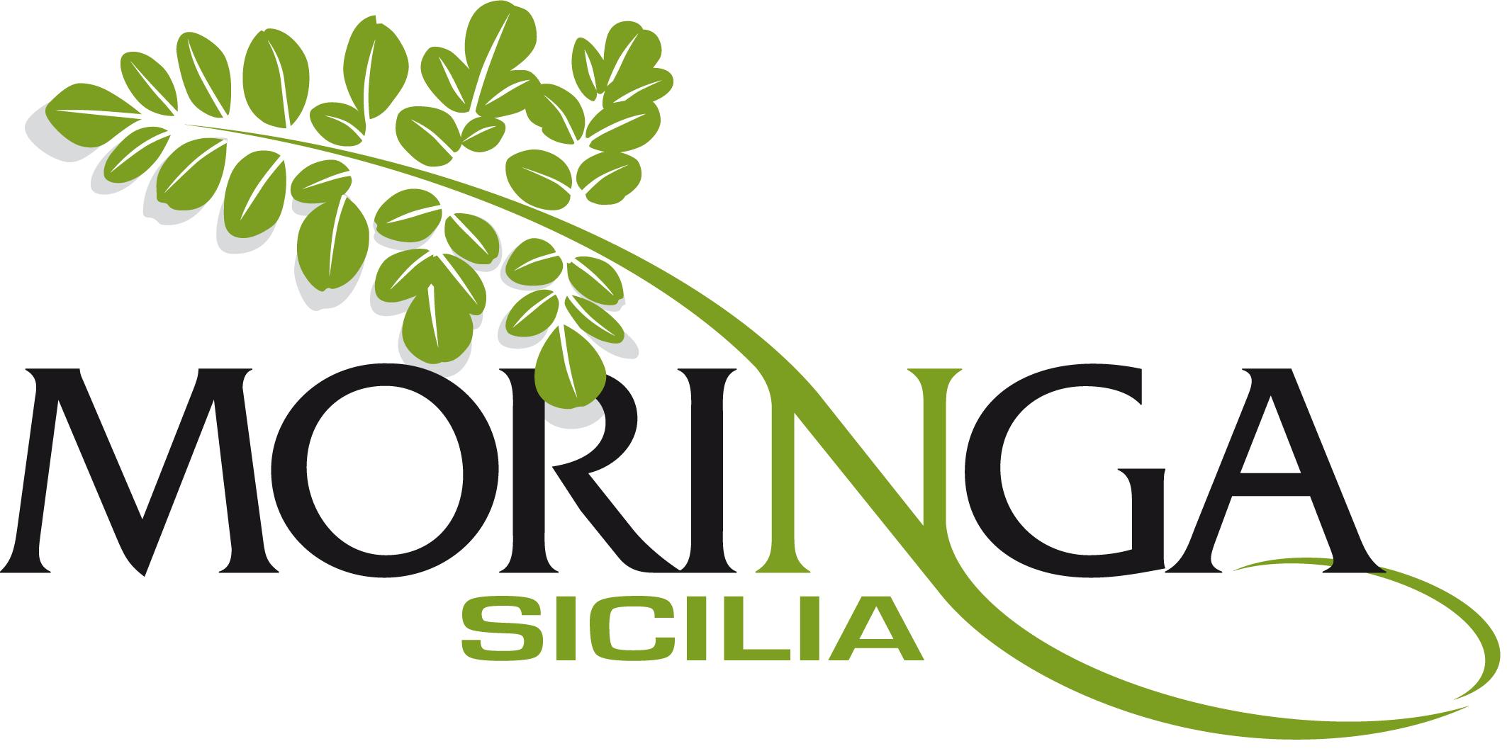 MoringaSicilia