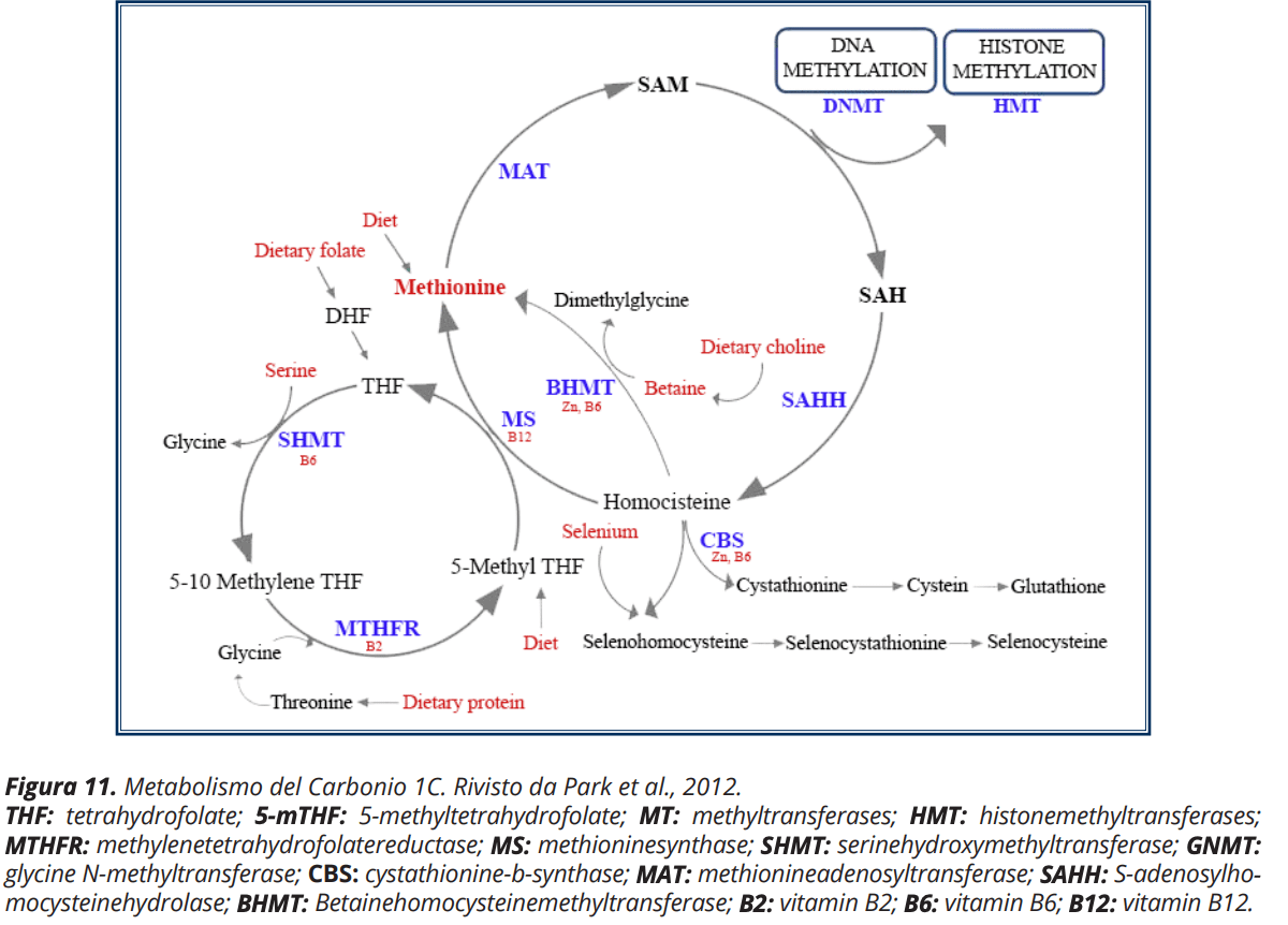 Screenshot 2023-05-22 alle 070748png