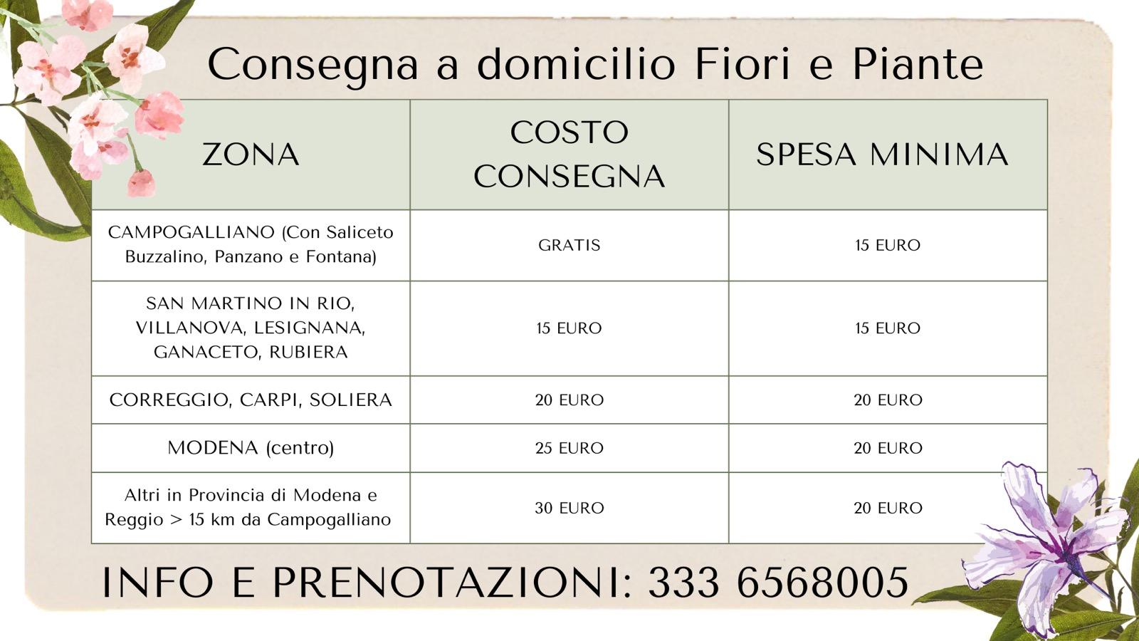 Tabella con il costo per le spedizioni di fiori e piante nelle varie zone adiacenti a Campogalliano (Mo)