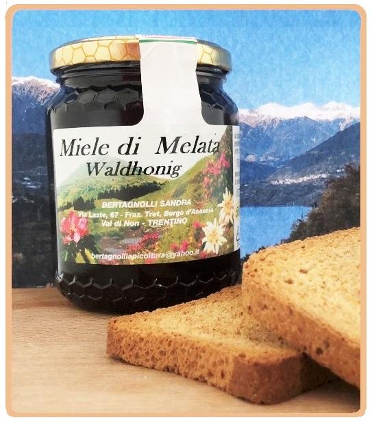 I SAPORI D'ITALIA.... MIELE  DI MELATA  500 Gr