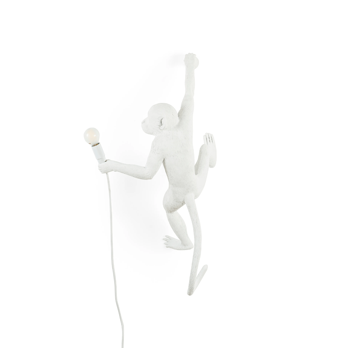 THE MONKEY LAMP HANGING