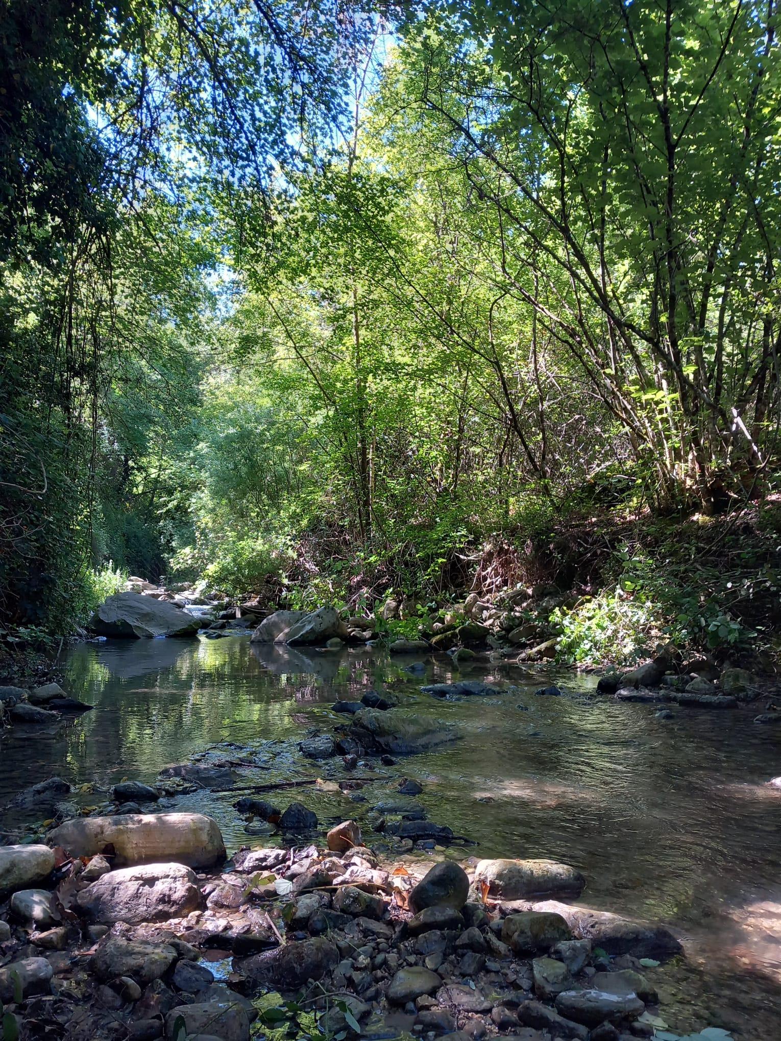 Torrente ©ChiaraOrtolani