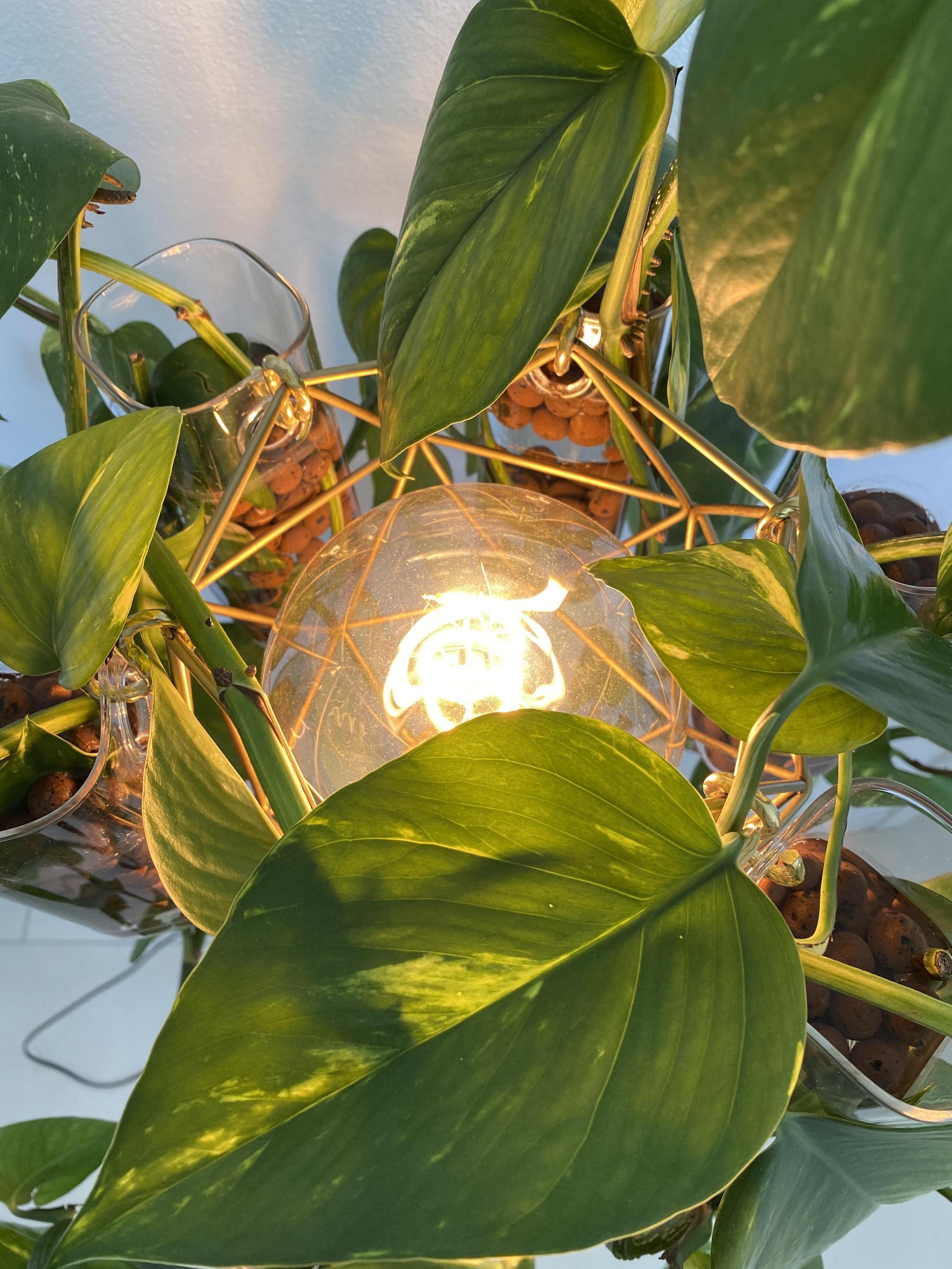 Floor Lamp with plants NATURA