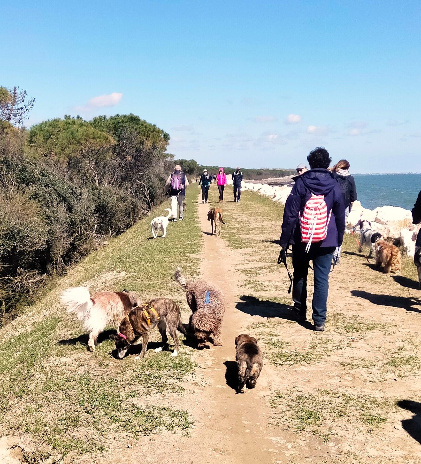 Lido delle Nazioni