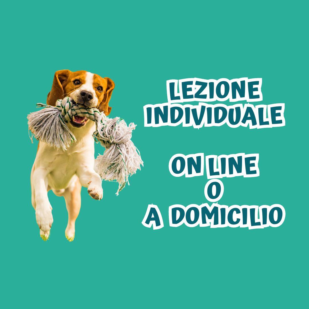 LEZIONE INDIVIDUALE ON LINE O A DOMICILIO