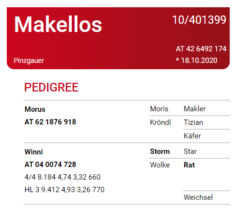 Makellos - Matricola: AT 426492174 - Categoria PINZGAUER