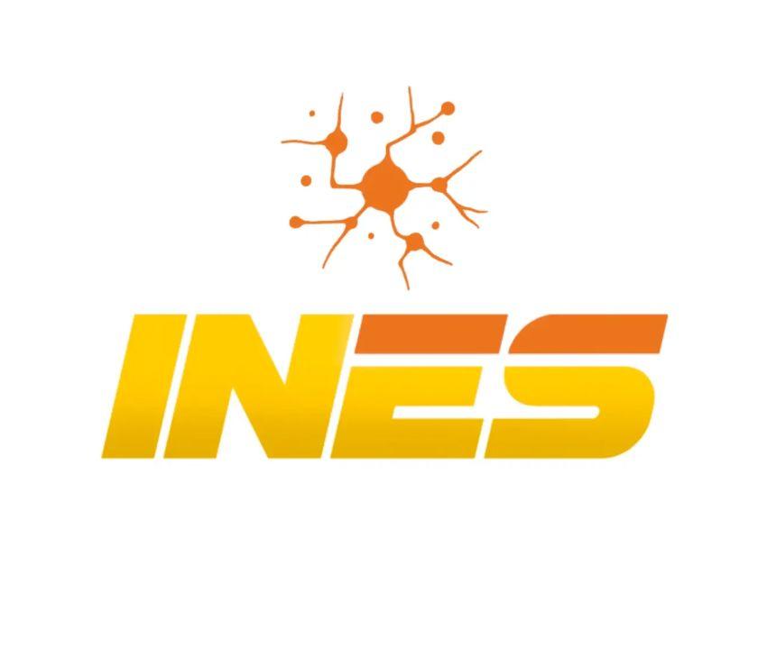 https://www.inesaps.it/