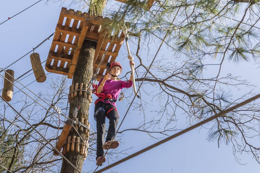 Foto di proprietà dell'Adventure Park Lago d'Orta LE PIGNE