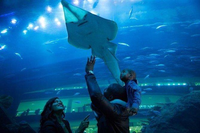 Biglietti per Dubai Aquarium