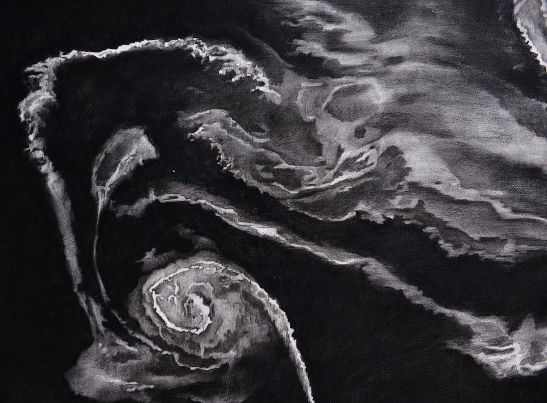 Detail from charcoal drawing on 100 % cotton paper, 640 g/m² (1.10 m x 8 m)