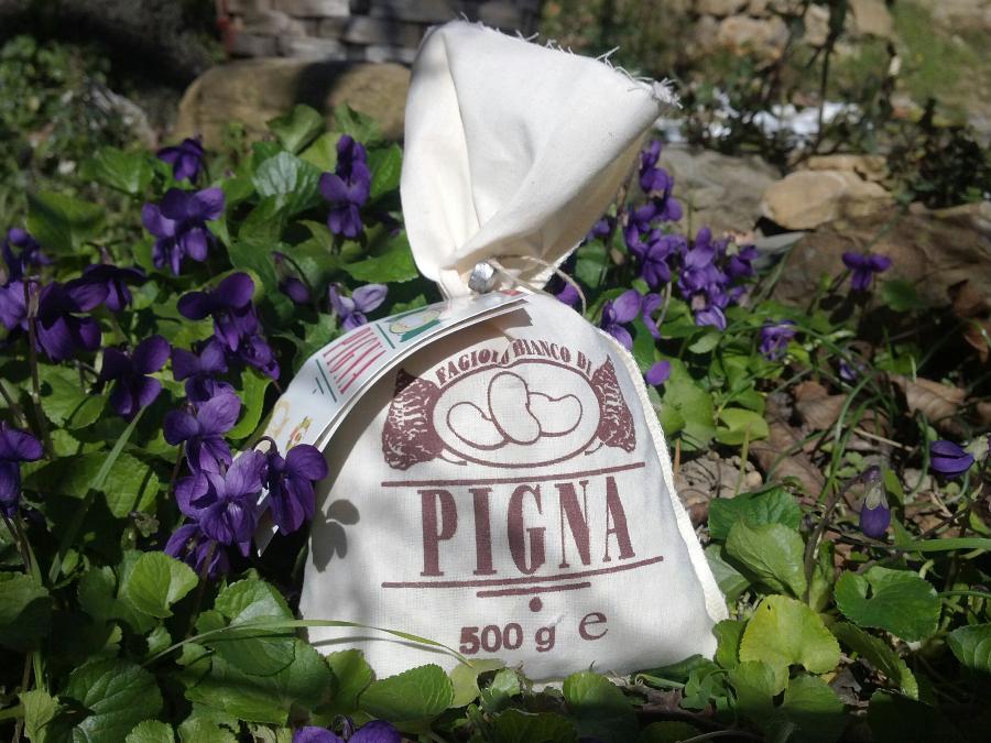 Fagiolo Bianco di Pigna, presidio, Slow Food, Liguria, Imperia, Pigna,