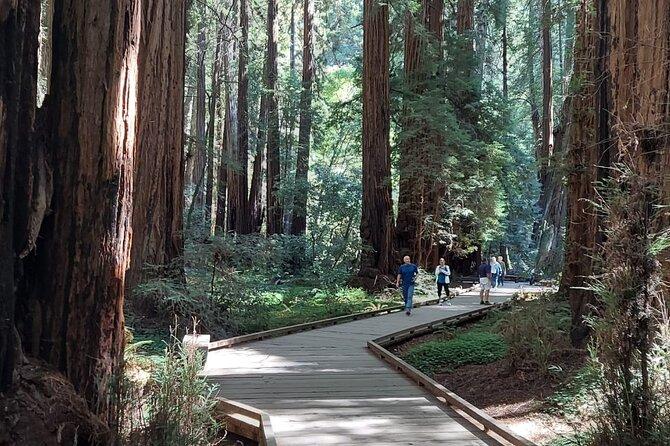 Escursione a Alcatraz e Muir Woods