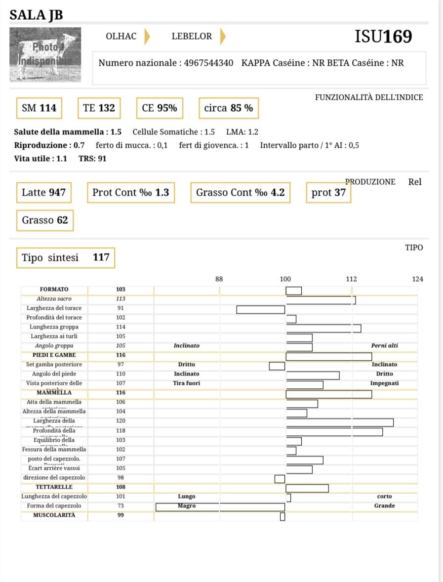 Sala JB - Matricola: FR 4967544340 - Categoria MONTBELIARDE