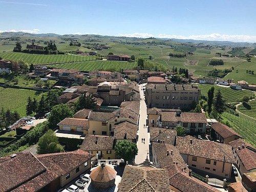 BARBARESCO - CUNEO - PIEMONTE