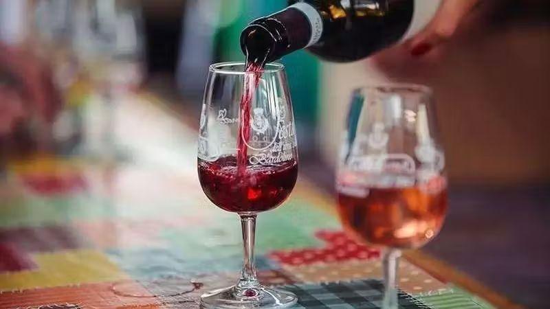 FESTA dell'UVA e del VINO a BARDOLINO con navigazione - Domenica 06 ottobre