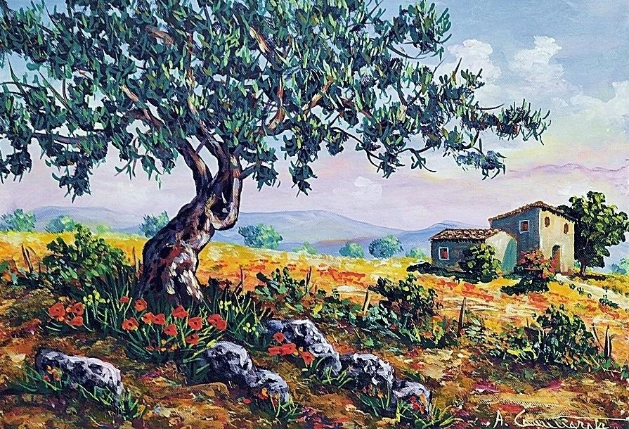 Ulivo Olio su tela 35 x 50 cm