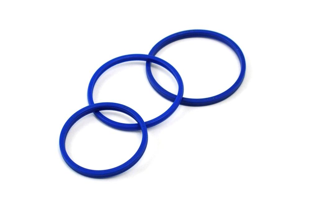 Anello elastico di riferimento
