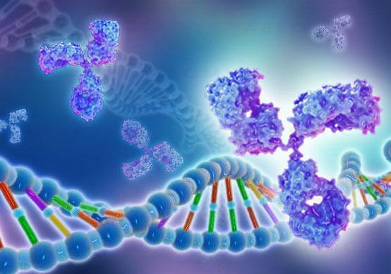 Proteina Spp1