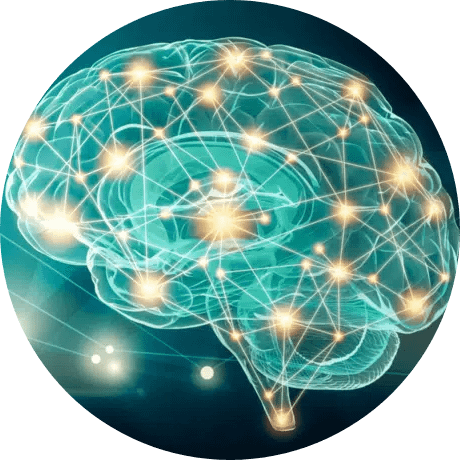 Esplorando il mondo del cervello: La neuroscienza, la sua portata e le sue scoperte fondamentali