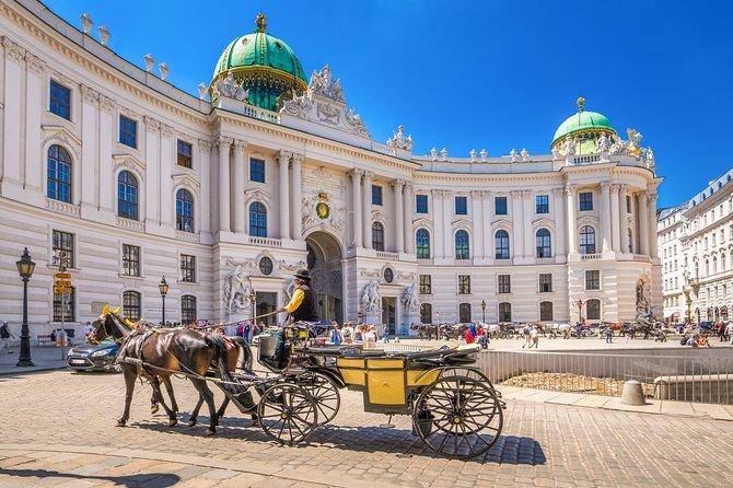 Tour di Vienna in bicicletta