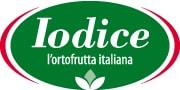 Iodice srl