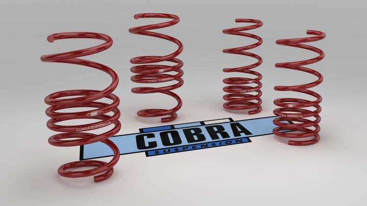 Cobrasuspension Springs Lift Kit VW Transporter T5/T6/T6.1 2WD + 4WD ( +30mm Rear. ) 00.HD80003