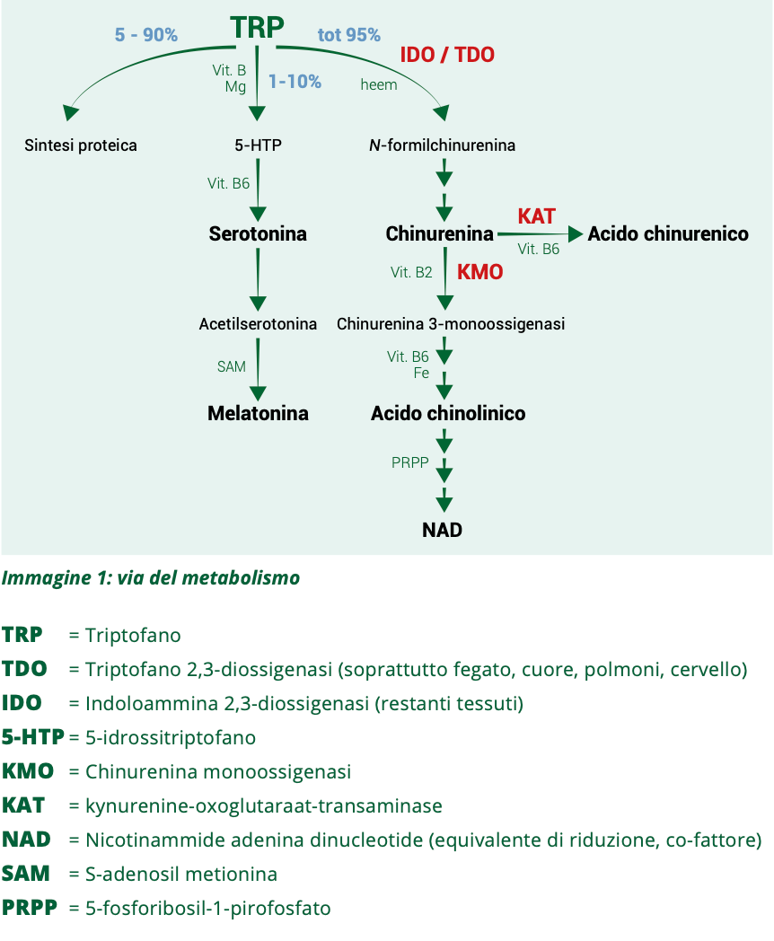 Screenshot 2023-05-13 alle 145037png
