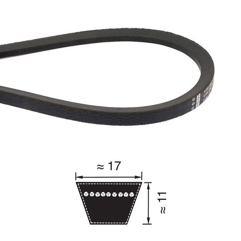 CINGHIA TRAPEZOIDALE SEZ. "B" (MM.17X11) B 100-B 152 - PI BELT