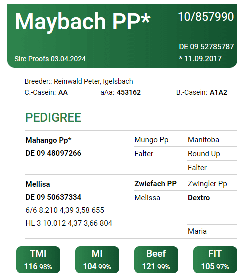 Mayback PP - Matricola: DE 0952785787 - Categoria FLECKVIEH