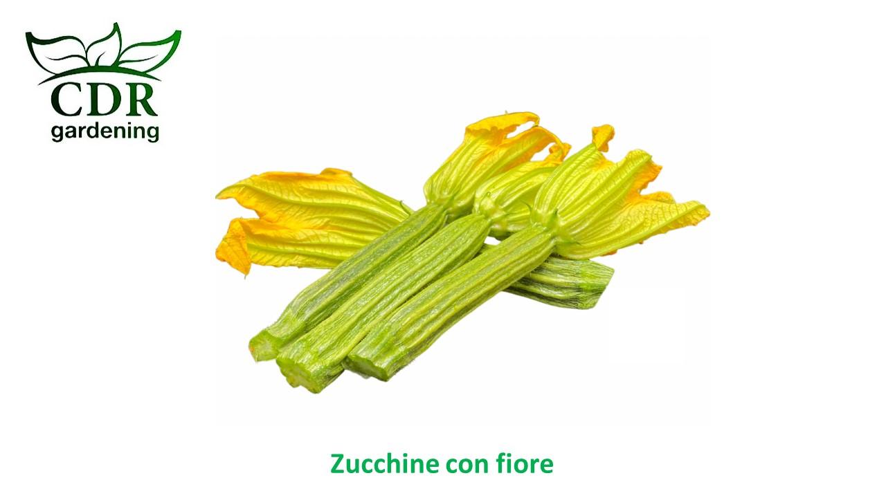 Zucchine con fiore