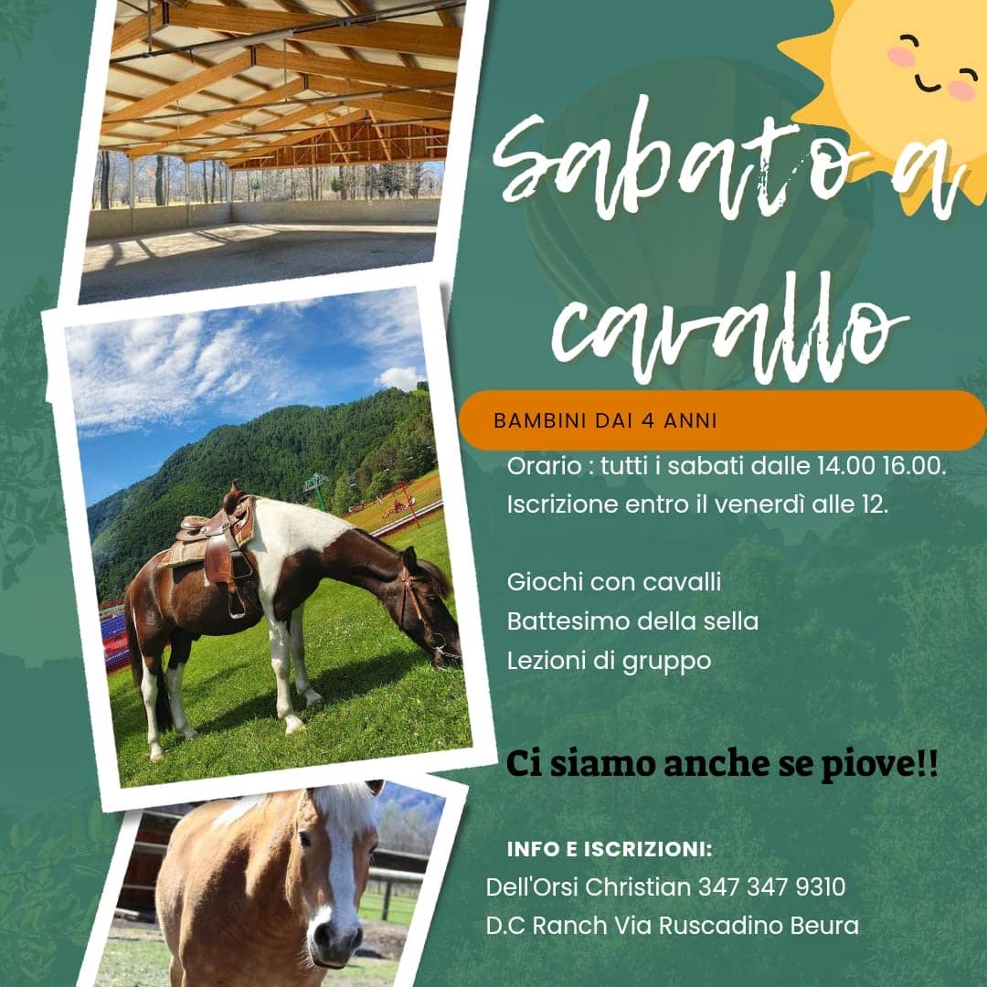 d.c. ranch, campus equitazione, beura, ossola, cavallo scuola, cavalli, western