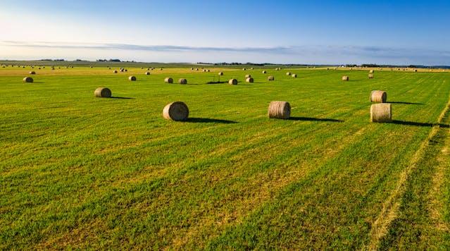 Tutte le misure del decreto agricoltura