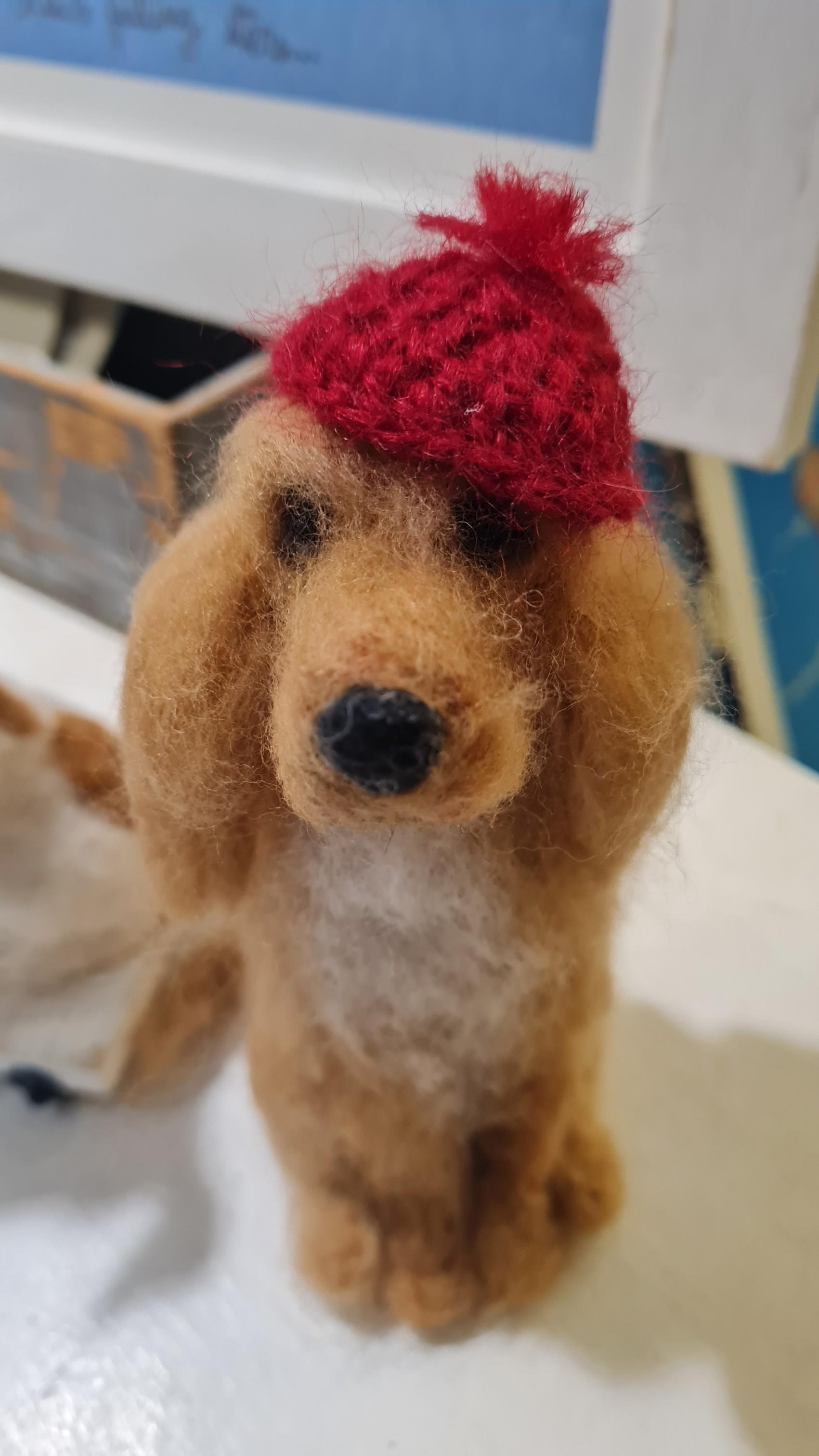 Cocker con cappellino