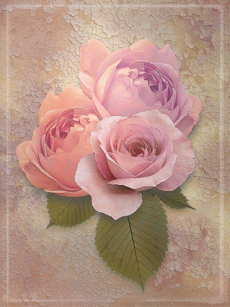 ArtGround-Beverly Everson -Petals of Pink-jpg