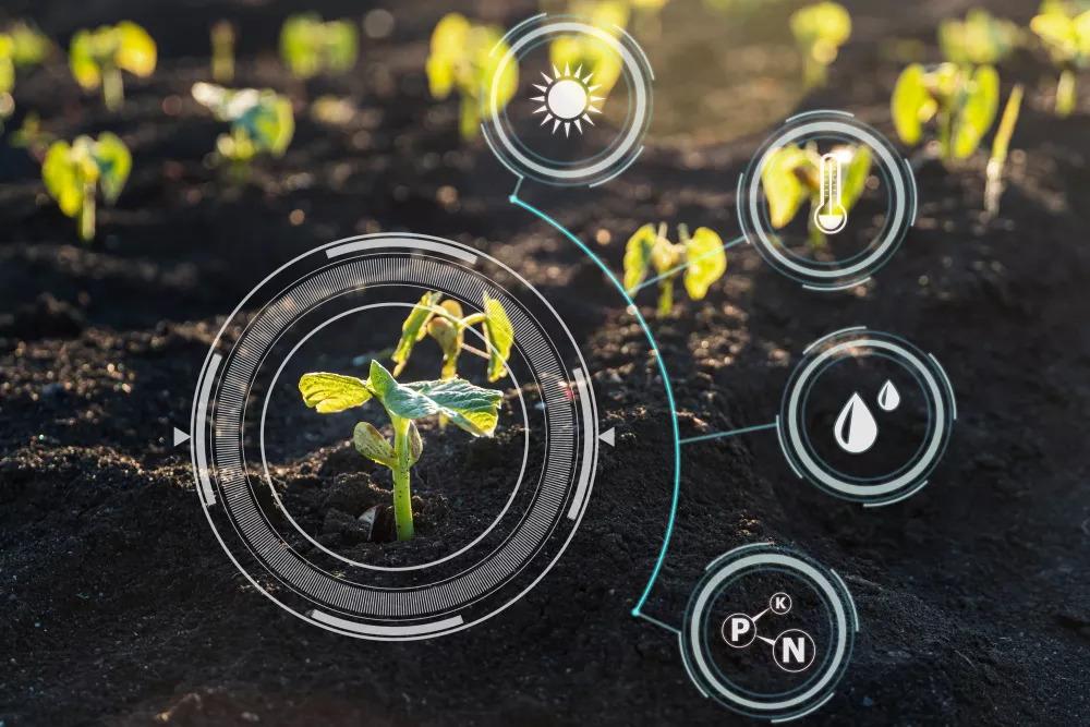 INTELLIGENZA ARTIFICIALE IN AGRICOLTURA:  applicazioni e vantaggi