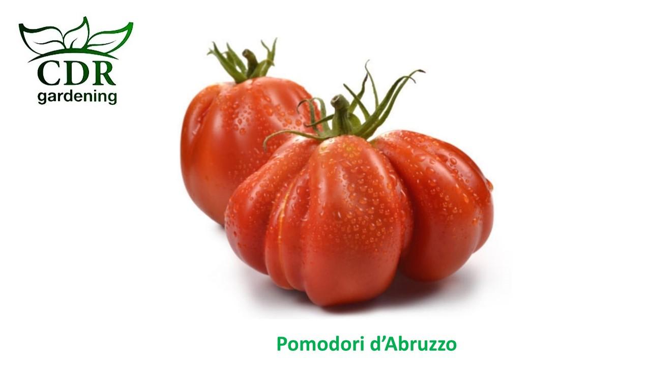 Pomodori d'Abruzzo