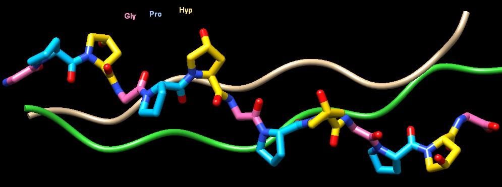 Proteina COL9A3