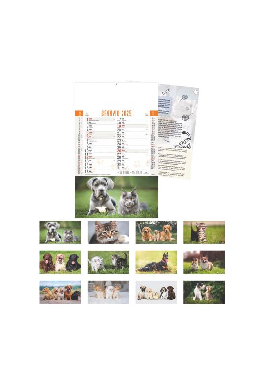 CALENDARIO CANI E GATTI